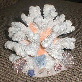 Artificial Coral